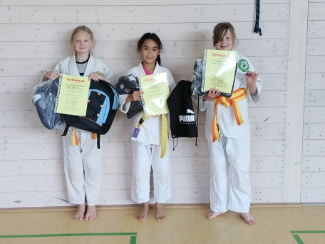 Judo - sehr aktive Teilnehmer Judo - sehr aktive Teilnehmer