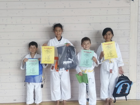 Judo - sehr aktive Teilnehmer Judo - sehr aktive Teilnehmer